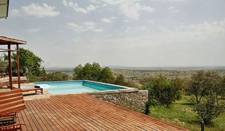 Serengeti Simba lodge