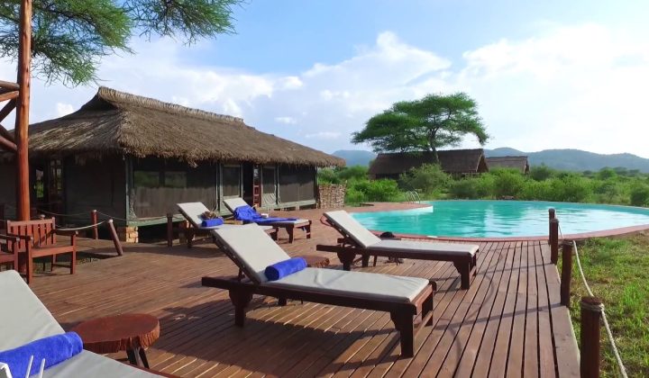 Tarangire simba Lodge